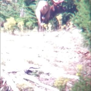 Meet your Posher, Troy